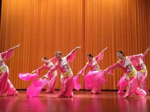 南汇新城 军民携手喜迎新春，文艺汇演共谱双拥新篇